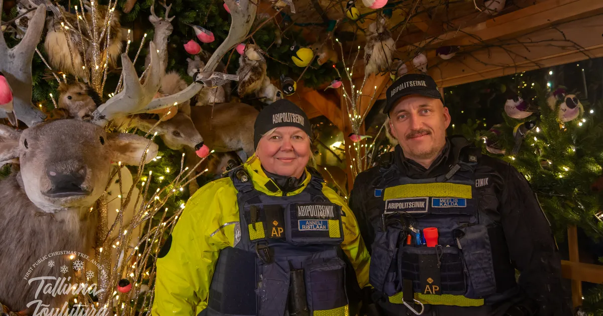 GALERII ⟩ Vaata, kuidas möödus laupäev Tallinna jõuluturul