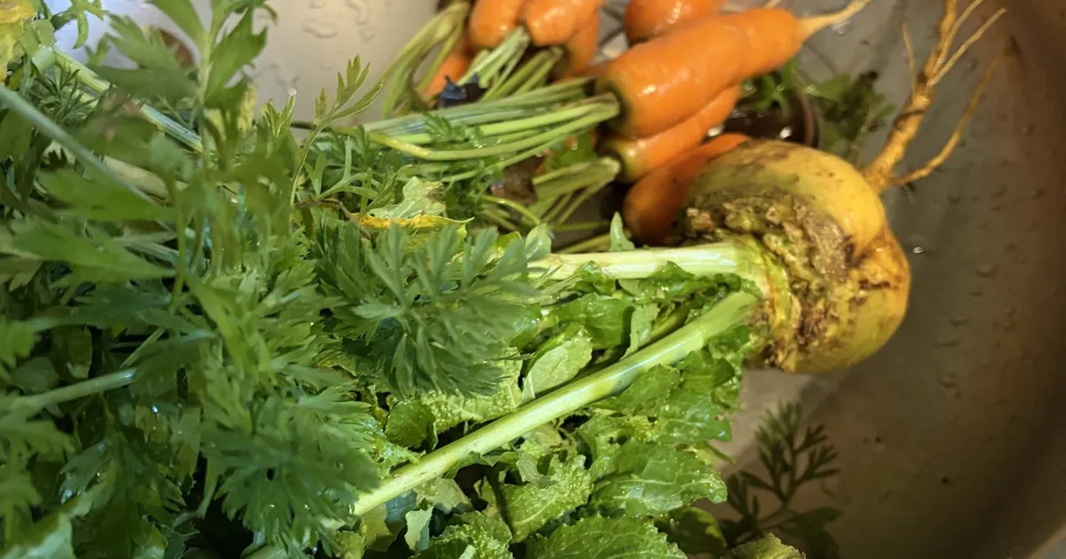 LOODUSKALENDER ⟩ Detsembris saab aiast veel saaki