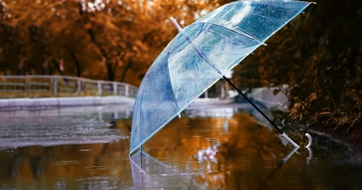 PÄEVAHOROSKOOP ⟩ 9. detsember: Veevalajal on raske ühist keelt leida koostööpartneritega, Kaksikud võivad tunda end nurka surutuna