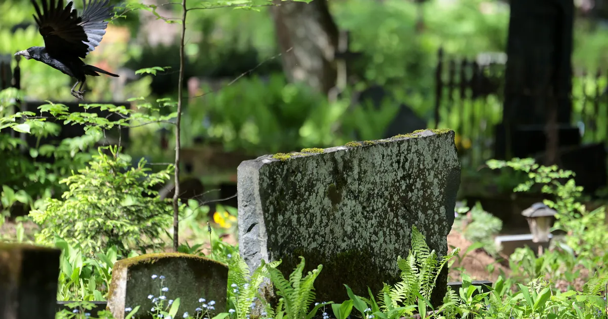 Lähedase hauale läinud naisele avanes täbar vaatepilt: esimene mõte oli, et miks ja kes?