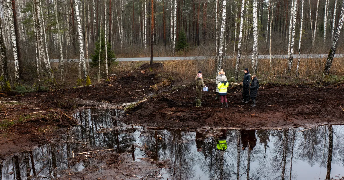 GALERII ⟩ Kunagised turbaväljad said uue hingamise