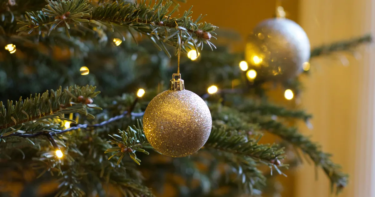 9 NIPPI ⟩ Nii püsib jõulupuu kauem värske