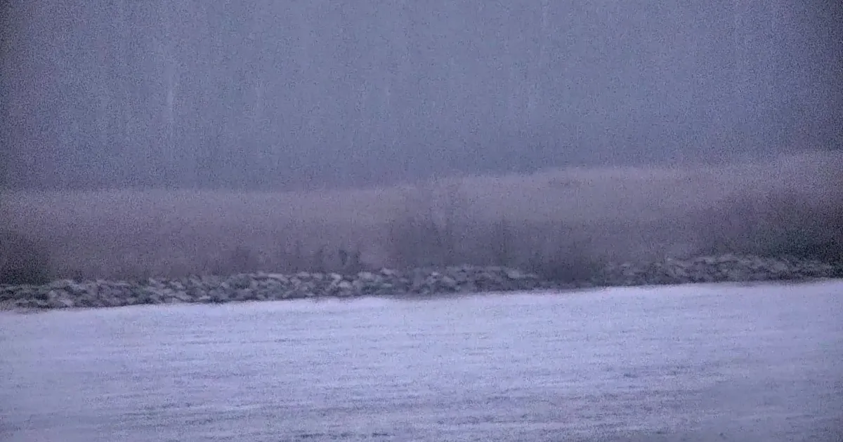 Piiriesindajate kohtumisel jäid osapooled ebaseadusliku piiriületuse osas eriarvamusele