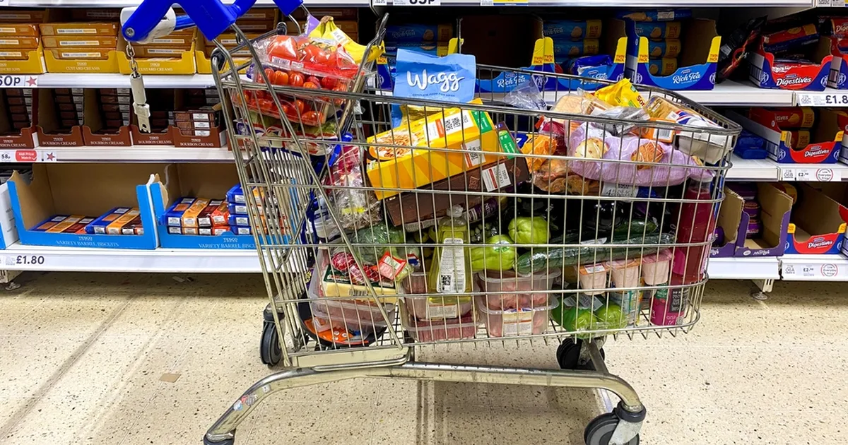 Jõuluõhtusöök suurperes: 22 lapse ema näitab oma mäekõrgust ostukäru sisu