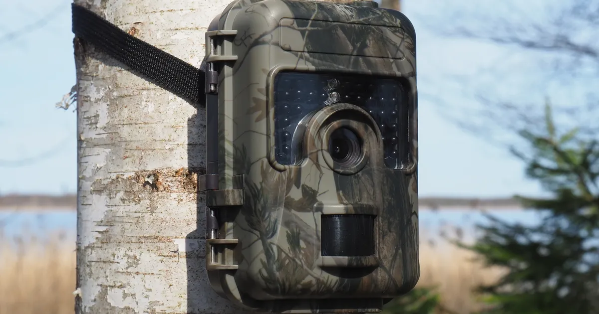 HÄMMASTAV ⟩ Kaamera ette jäi kiskja, keda nähti viimati rohkem kui 100 aastat tagasi