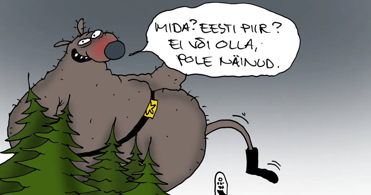 JUHTKIRI ⟩ Piirivalvurite väljasõit rohelusse