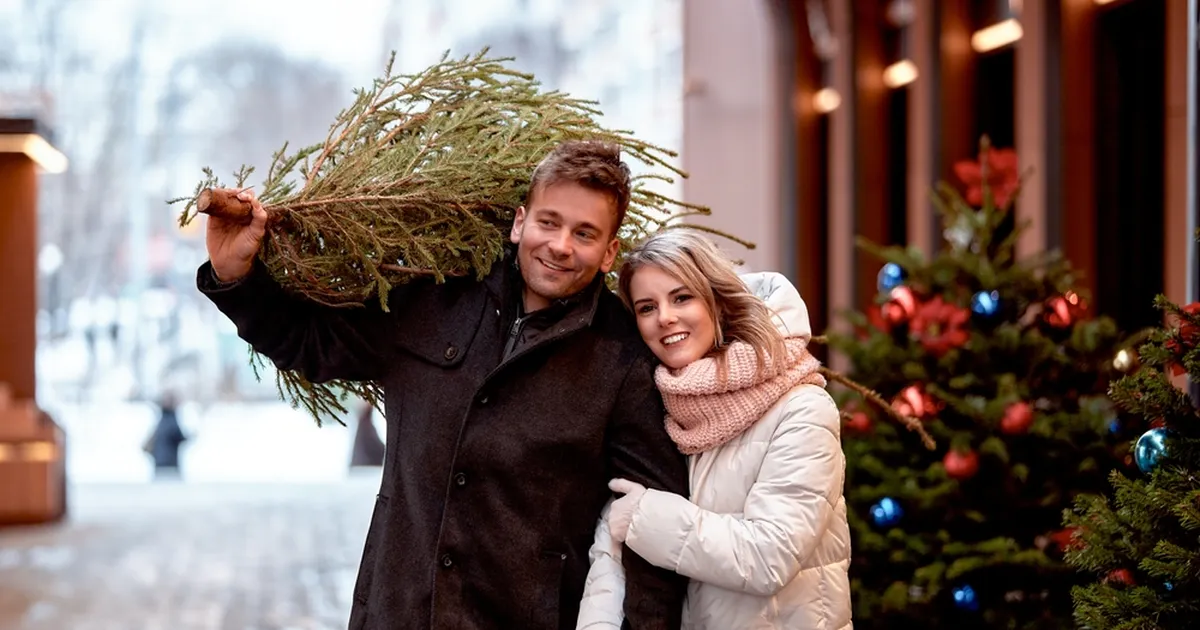 KAS KA SINA? ⟩ Just sellise kuuse toob koju iga kolmas eestlane