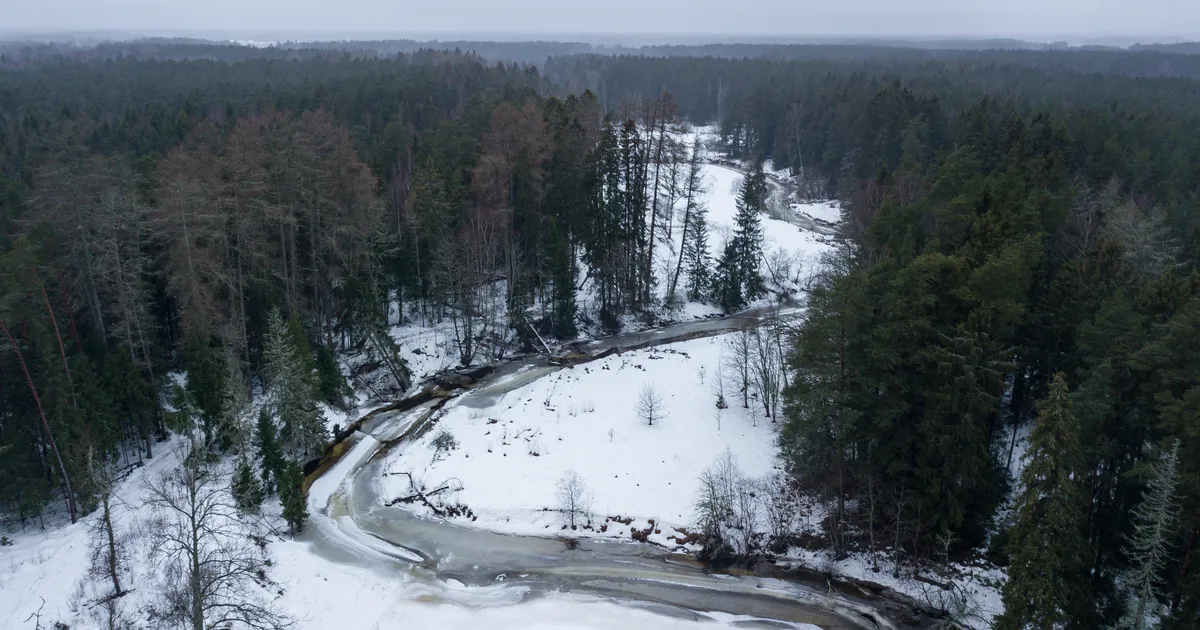 Riik ostab tänavu looduskaitse piirangutega eramaid üle 10 miljoni euro eest
