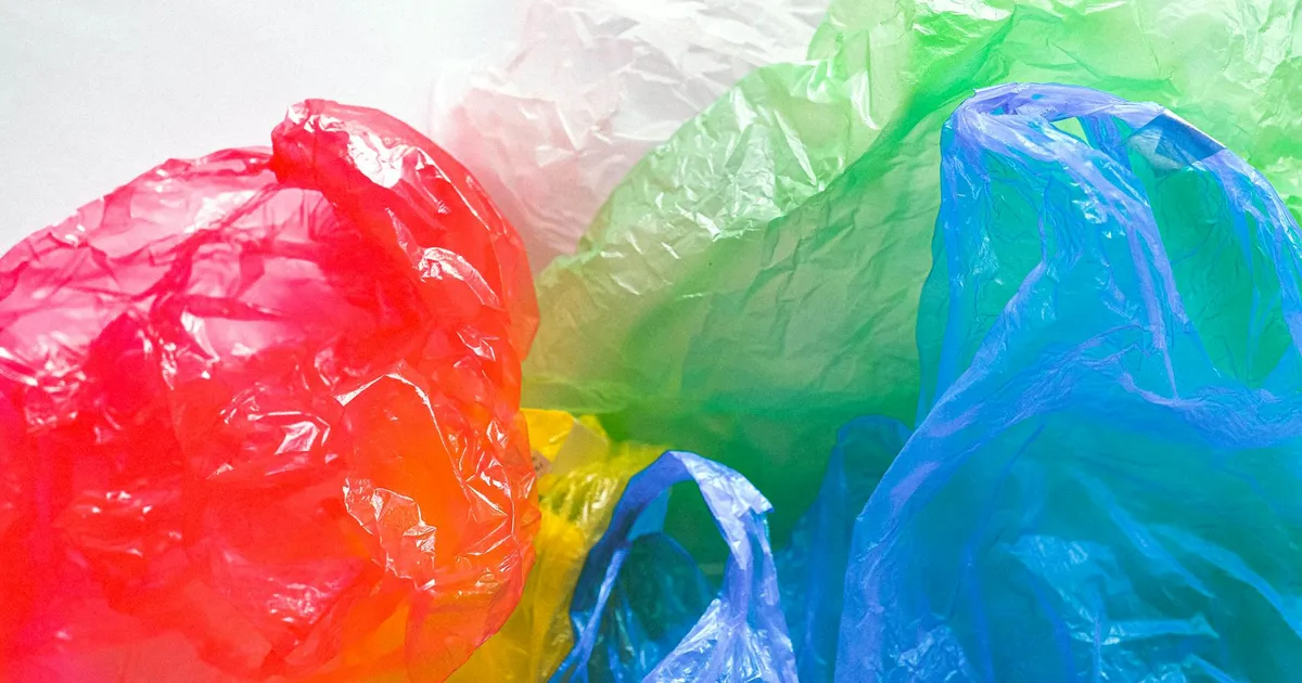 Avastati loomaliik, kes armastab mikroplasti. Selle tagajärjed on hullemad, kui arvati