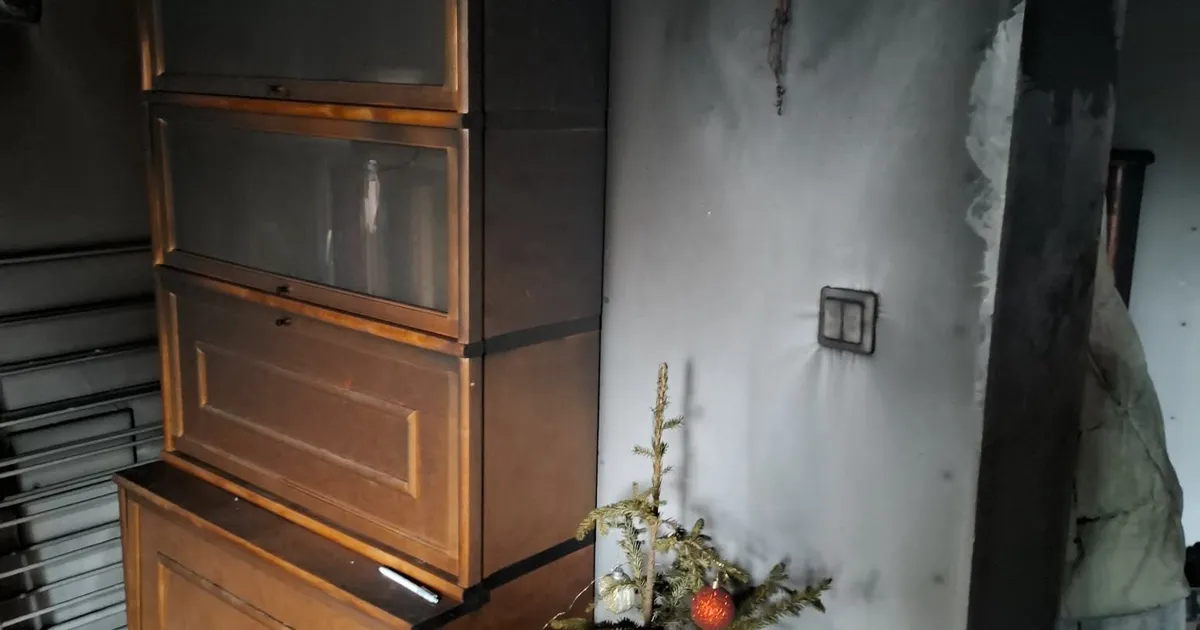 AITA LEIDA! ⟩ «Läksime vaid tunniks kodust ära!» Tallinlanna kaotas enne jõule põlengus kodu, pere lemmik läks kaduma