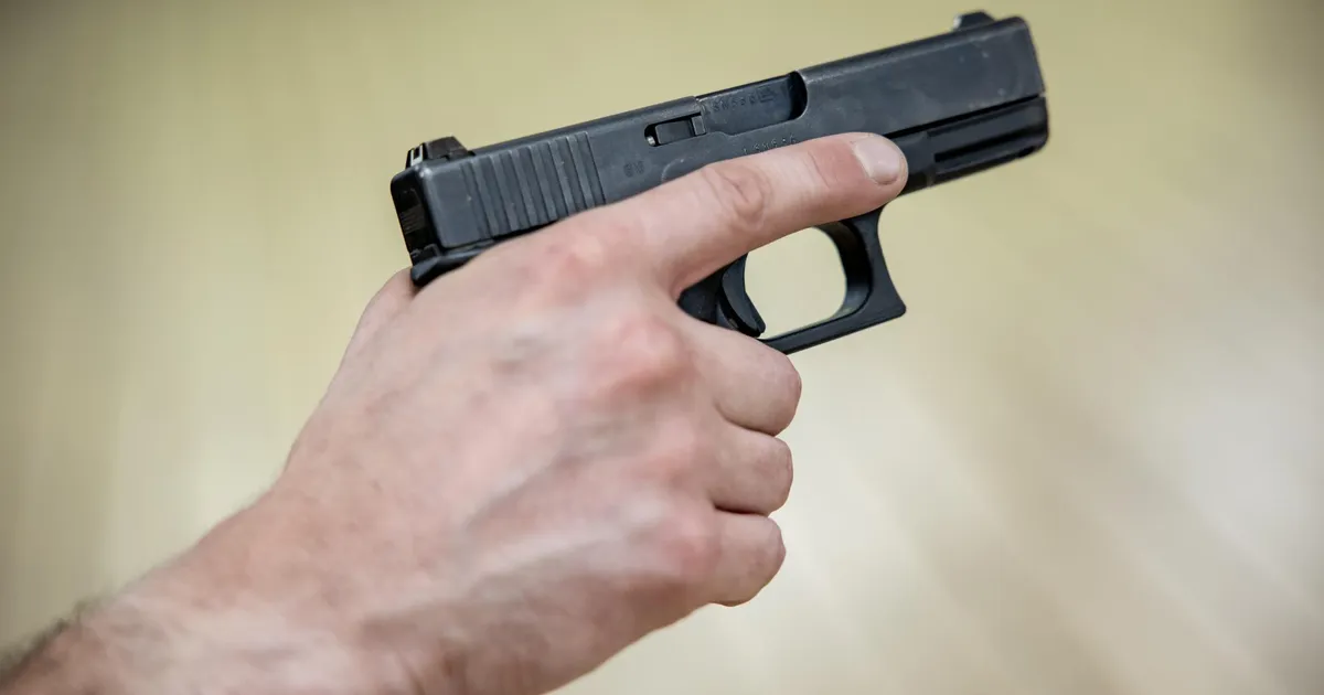 Relvaseadus läheb kaasajastamisele