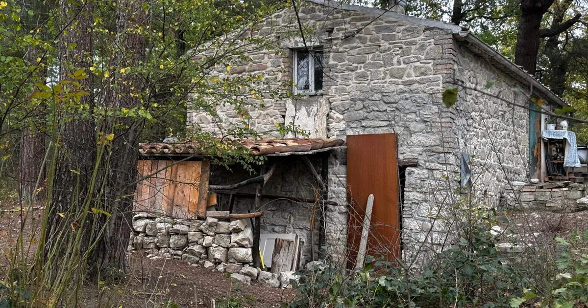 ÜHISKONNAST ERALDATUD ⟩ Kohus võttis vanematelt kirjaoskamatud lapsed: valitsus nimetab seda inimrööviks