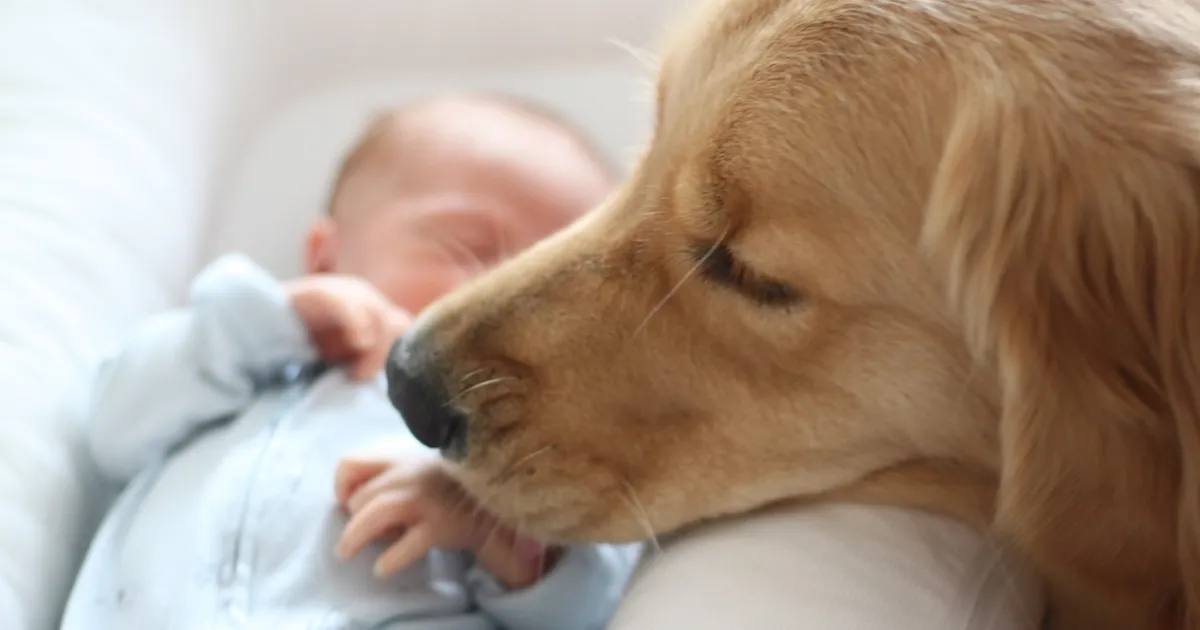 ARMAS VIDEO ⟩ Koer tuletab värskele emale meelde: mina olin siin enne