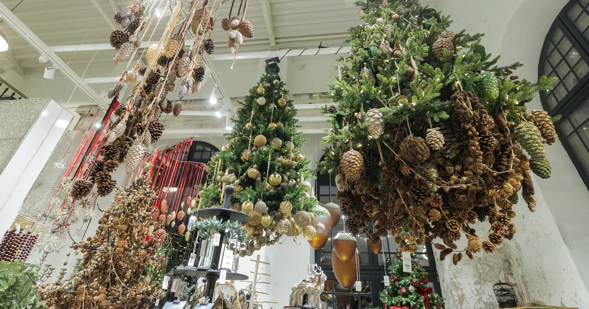 TARMO PIKNER ⟩ Esitan ERRile kuriteokahtlustuse! Nad tegid seda jälle