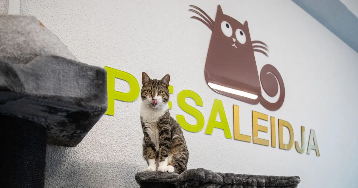 Aasta lõpus ootab kodu veel üle saja nurrumootori