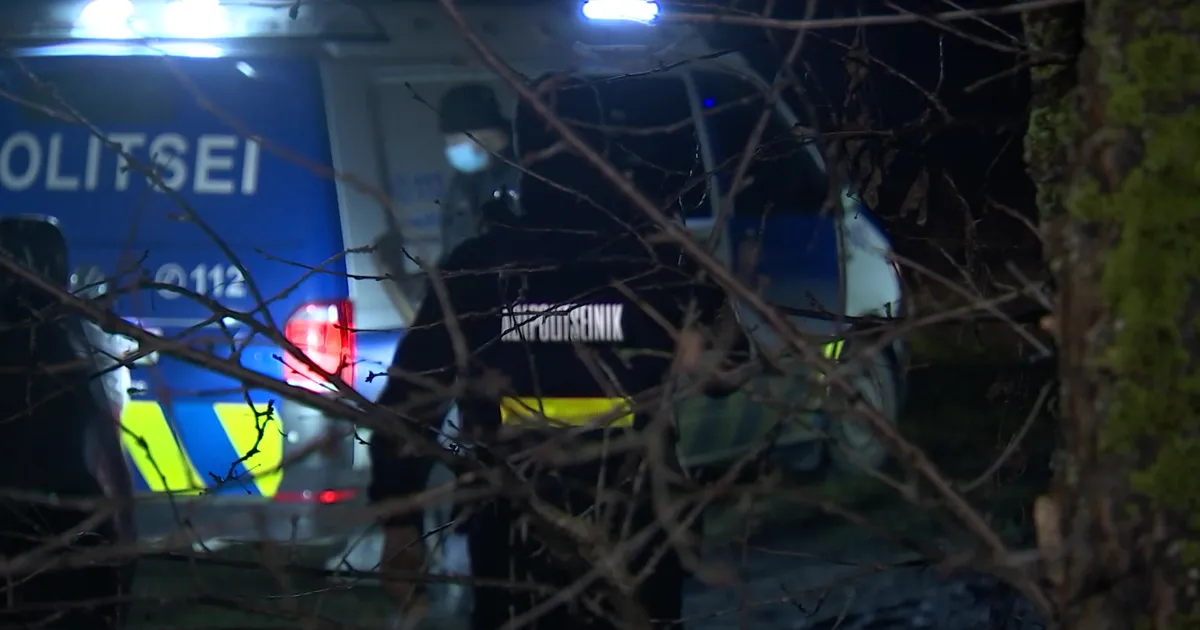 KURVAD NUMBRID ⟩ Pühade ajal arvas ligi 50 inimest päevas, et nüüd on «hea aeg» lähedasele peksa anda