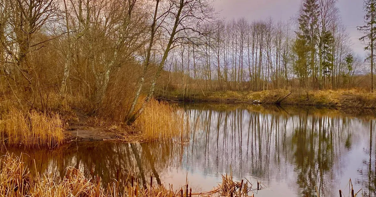 FOTO ⟩ «Vahva üllatus!» Keila pargis avaneb möödujatele imeline vaatepilt