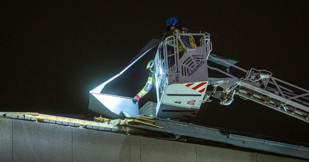 GALERII ⟩ Torm tuuseldas Harjumaad terve ööpäeva