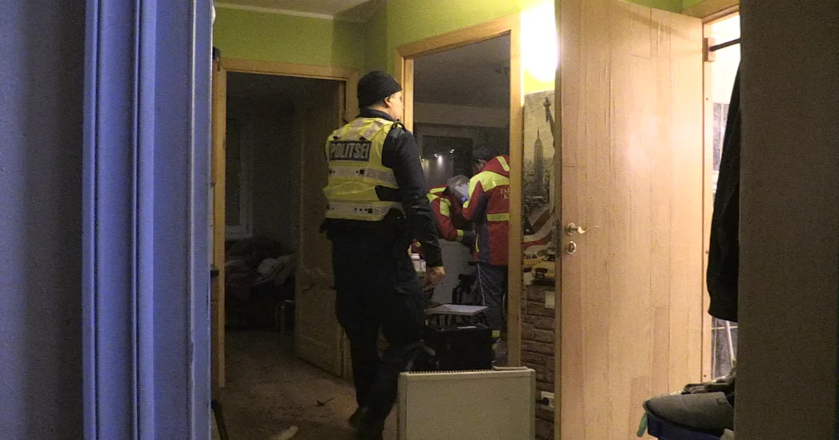 VIDEO ⟩ Uksed sulguvad, rusikad tõusevad: pühadeperioodil registreeriti Eestis ligi 300 lähisuhtevägivalla juhtumit