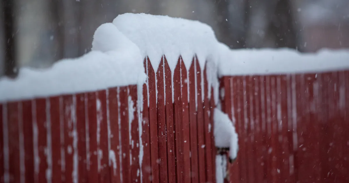 SÜNOPTIK HOIATAB ⟩ Uusaastaööl tasub panna soojalt riidesse, temperatuur võib langeda -20 kraadini