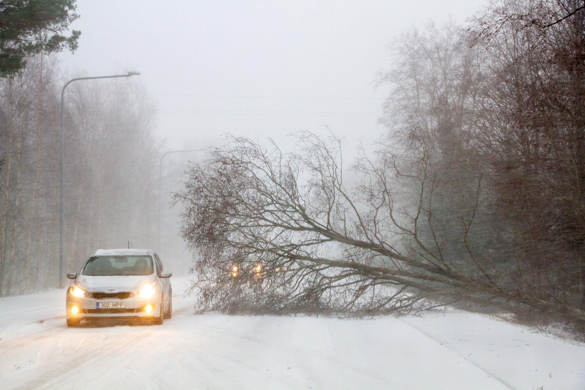 ILMATEADE | Nädala lõpuks võtab võimust jõuline tuul