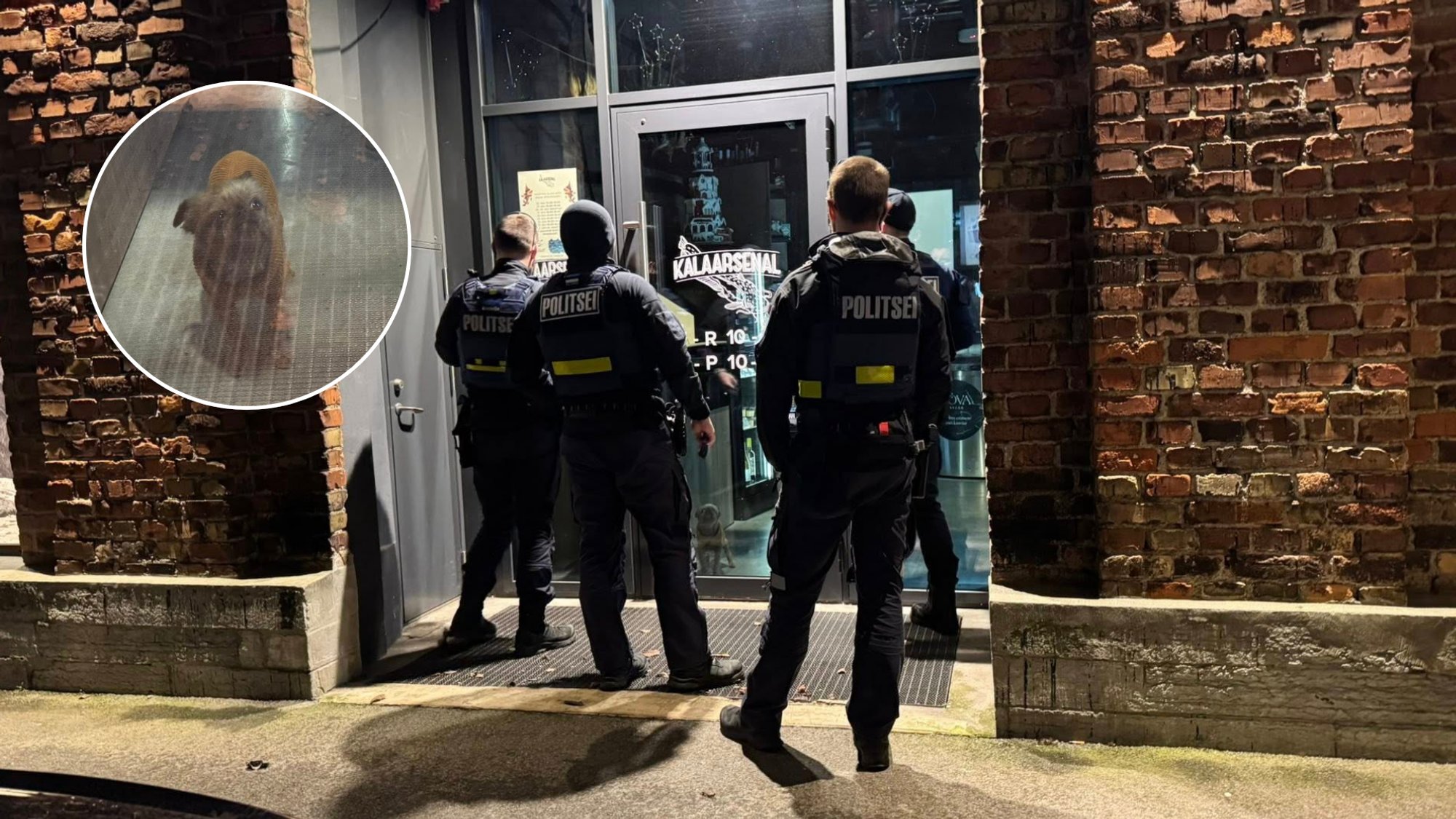 Jõuluõhtul pimedast poest leitud üksik koer tõi kohale politsei. Omanik: inimesed reageerisid põhjendamatult üle