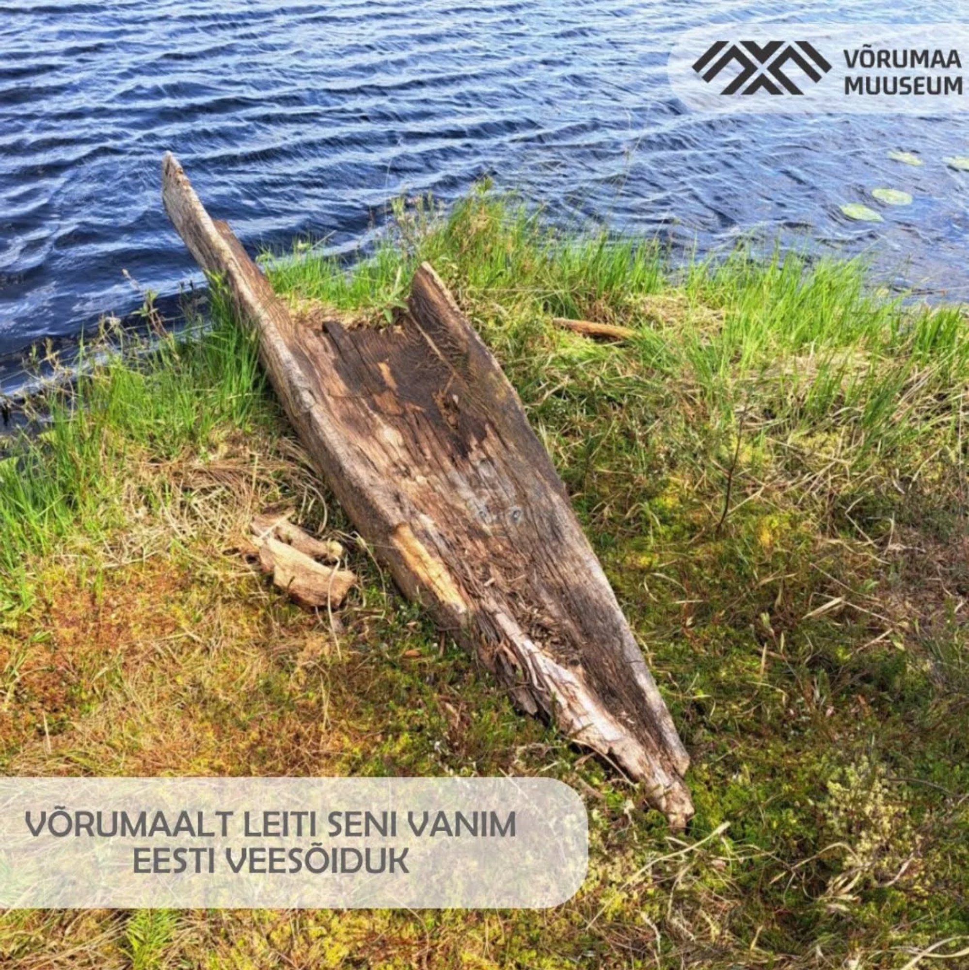 FOTO | Erakordne leid! Avastati Eesti alade vanim teadaolev veesõiduk, mis pärineb Rooma rauaajast