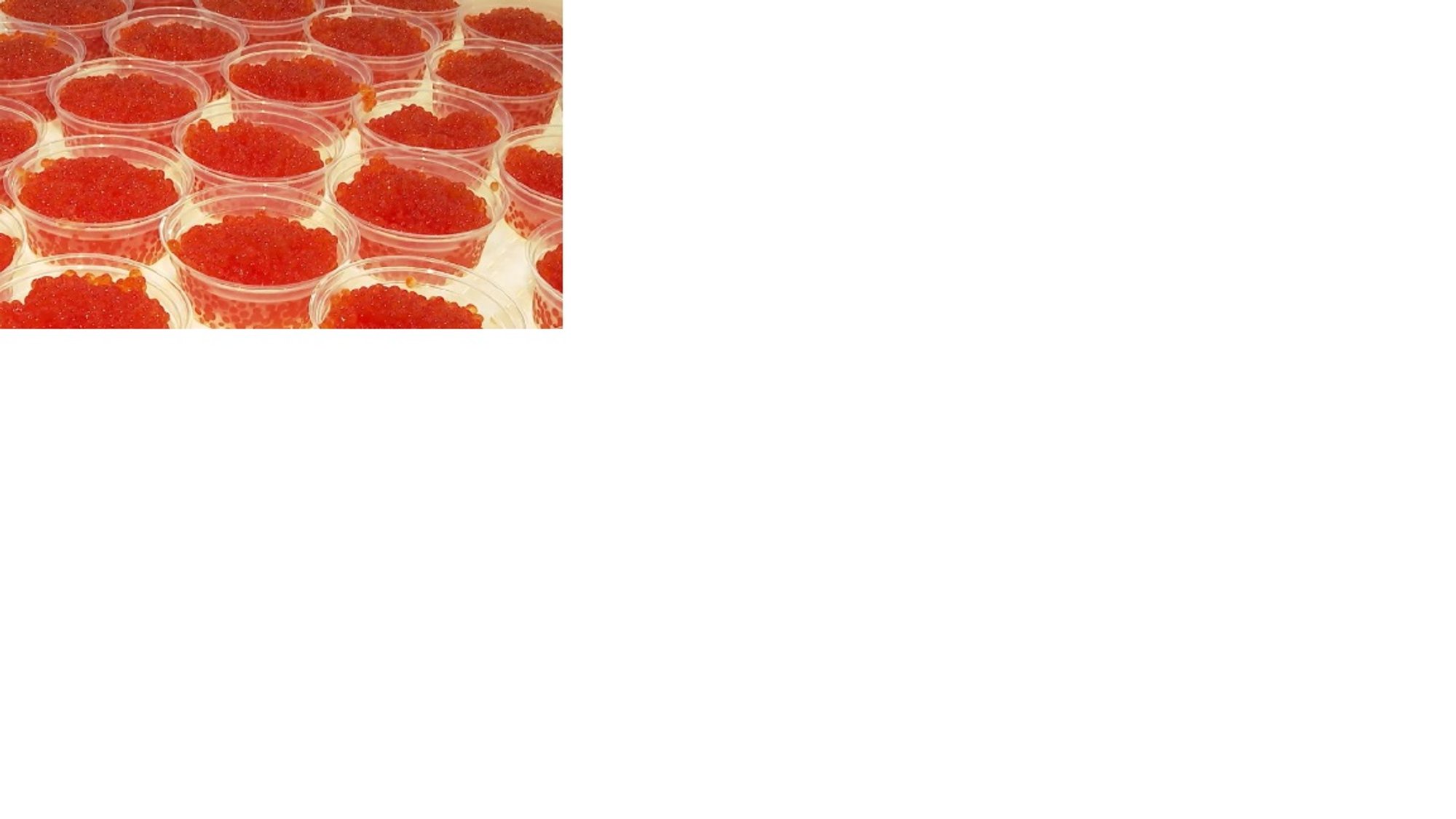 Habarovski krai ministeerium teatas, et Witkoffiga saadeti Trumpile kast kalamarja