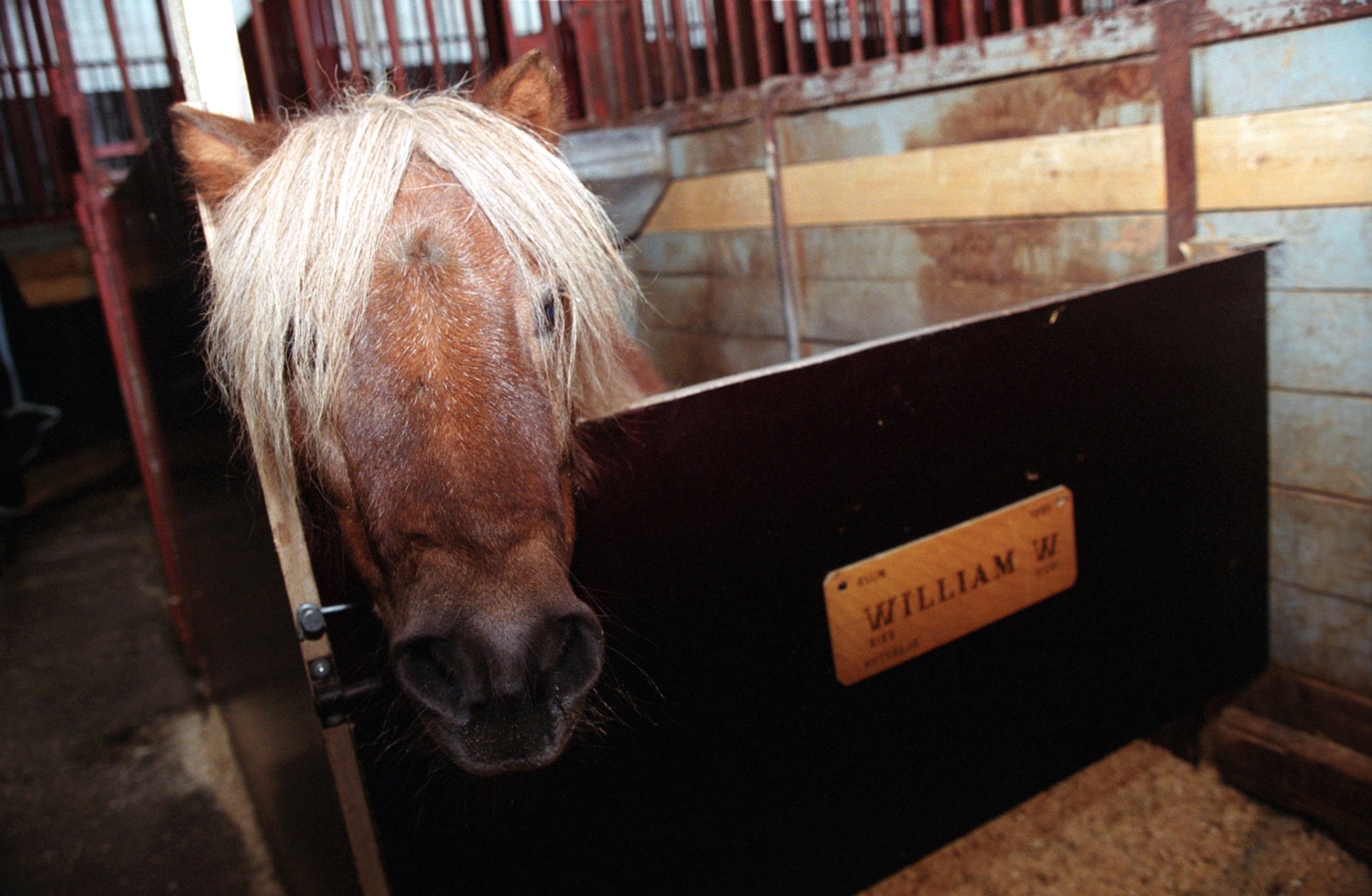 SELGITAJA | Kuidas läheb Tallinna koalitsioonileppega rambivalgusesse kistud ratsakeskusel?