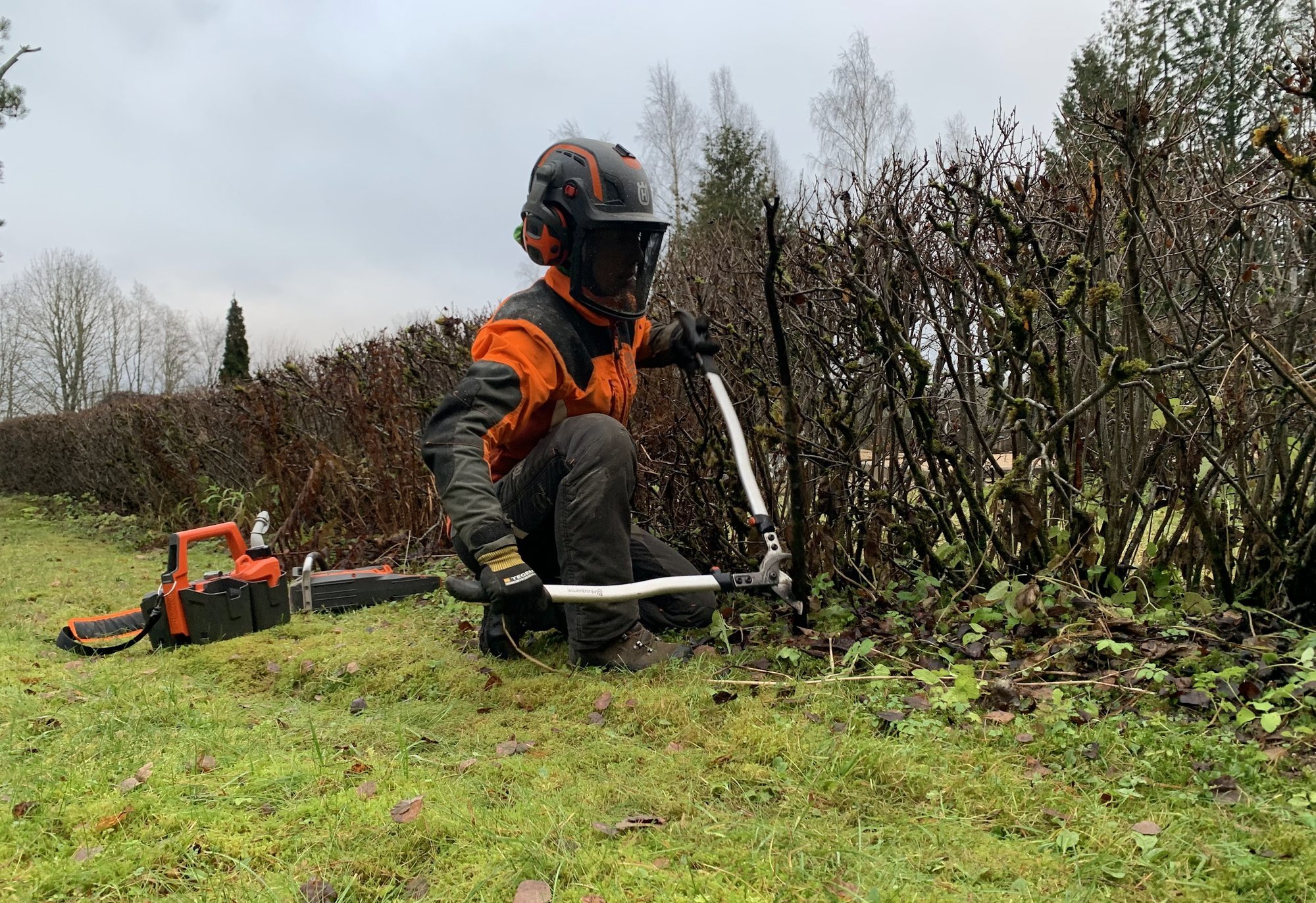 Arborist annab nõu – neid viite aiatööd tasub teha just talvel