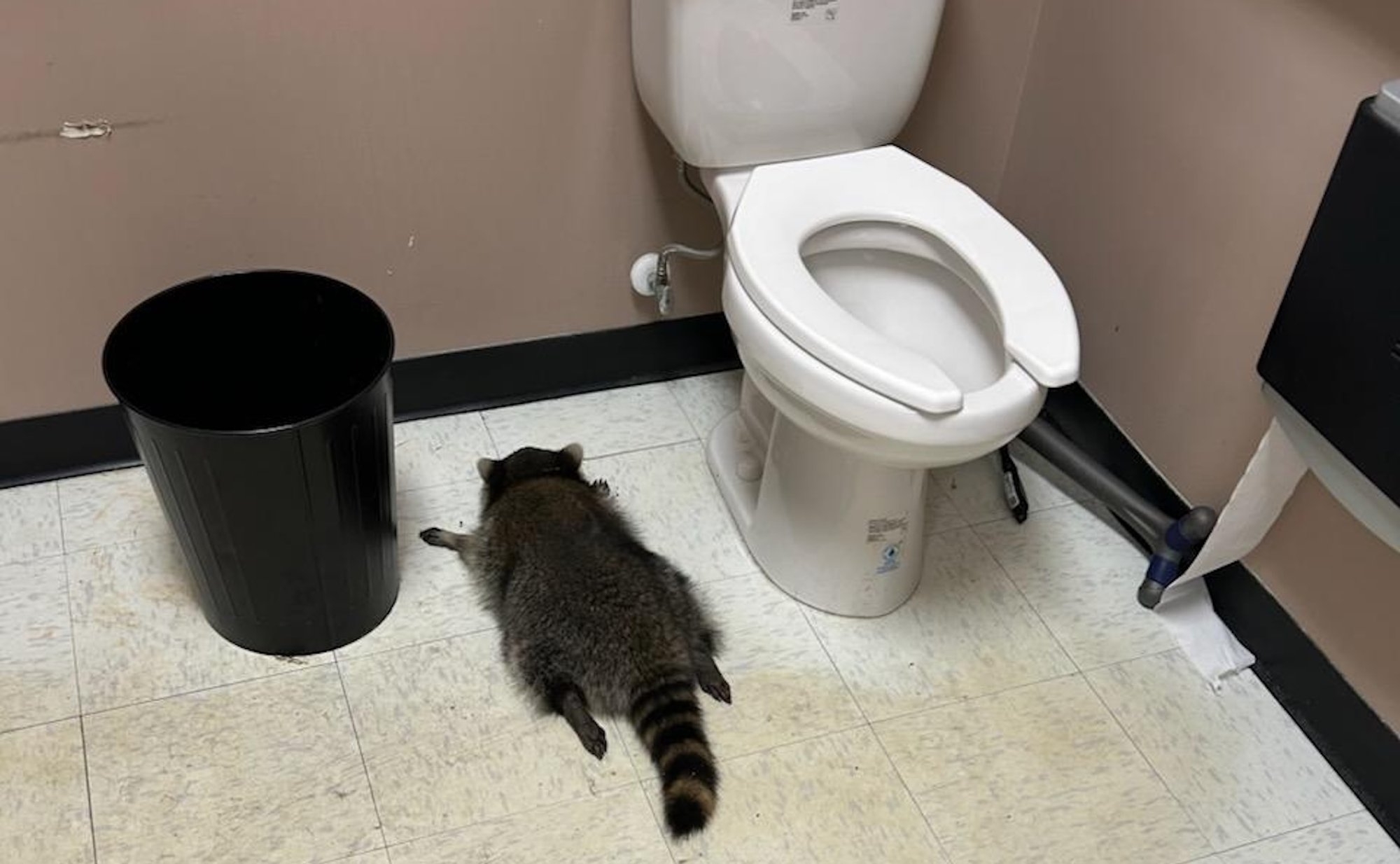 USA-s laamendas pesukaru alkoholipoes, jõi end purju ja jäi tualetti magama