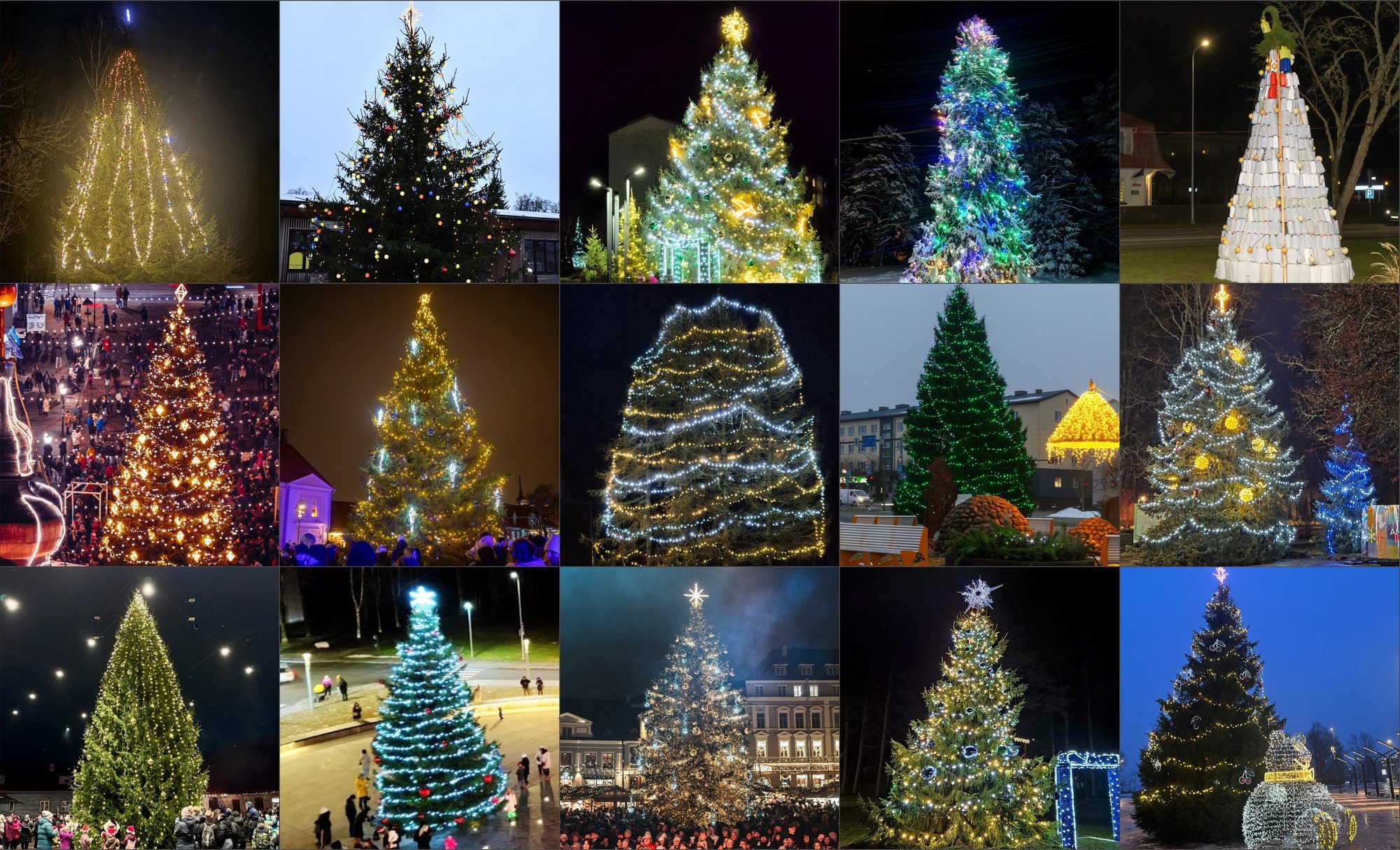 SUUR JÕULUPUUDE ÜLEVAADE | Milline pühadepuu on sinu lemmik?