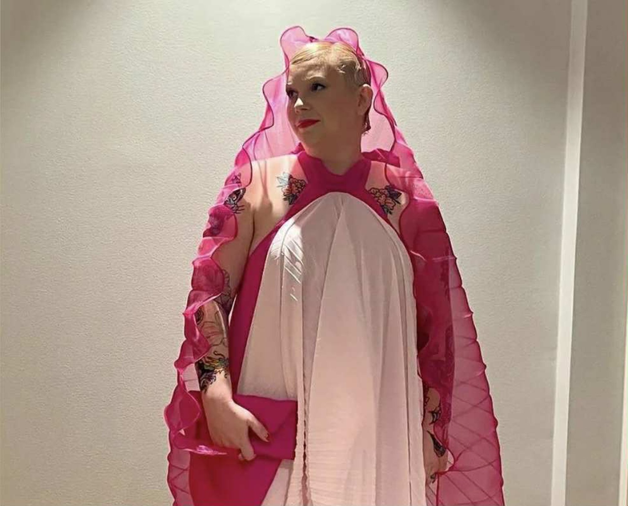 FOTO | Õhtu skandaalseim riietus? Soome presidendi vastuvõttu väisati vagiinat kujutava kleidiga