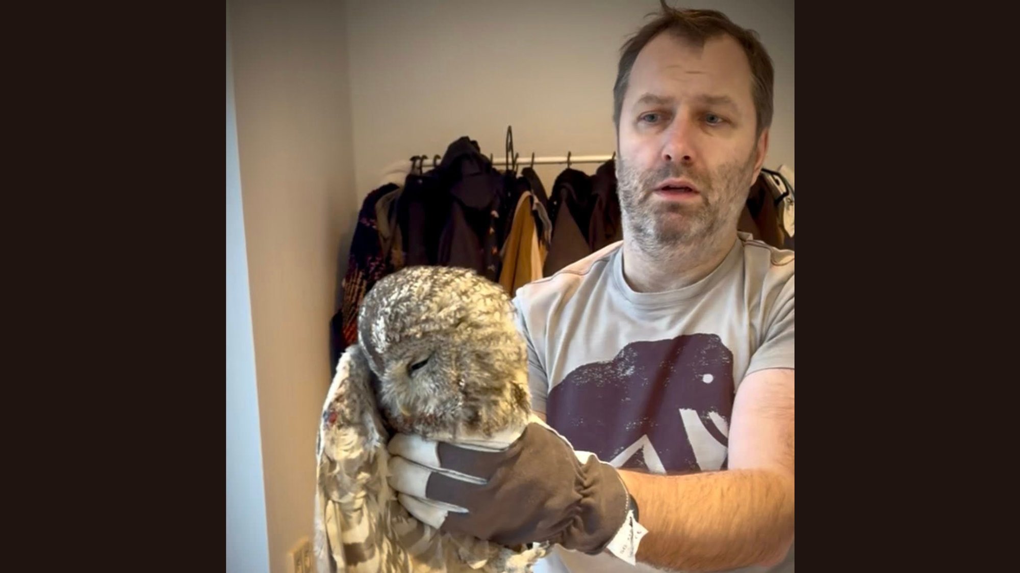 FOTOD | Kristjan Hirmo avastas oma maakodu korstnast ootamatu metsaeluka