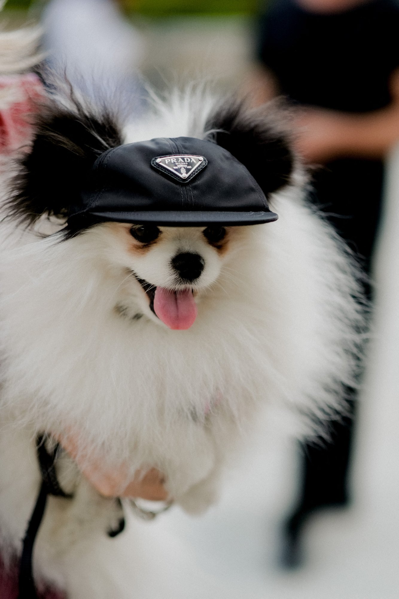 MOERUBRIIK | Lugeja küsib nõu: mulle ei sobi mitte ükski müts. Mida teha?