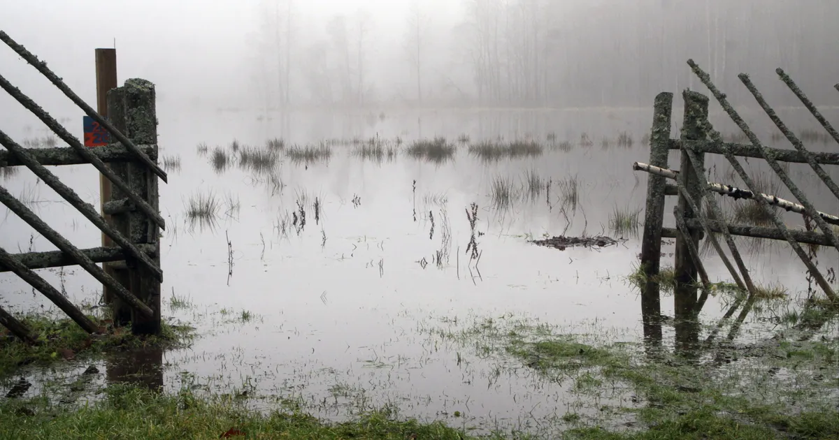 Kiitsak: ilmamudelid tõelist talve niipea ei luba