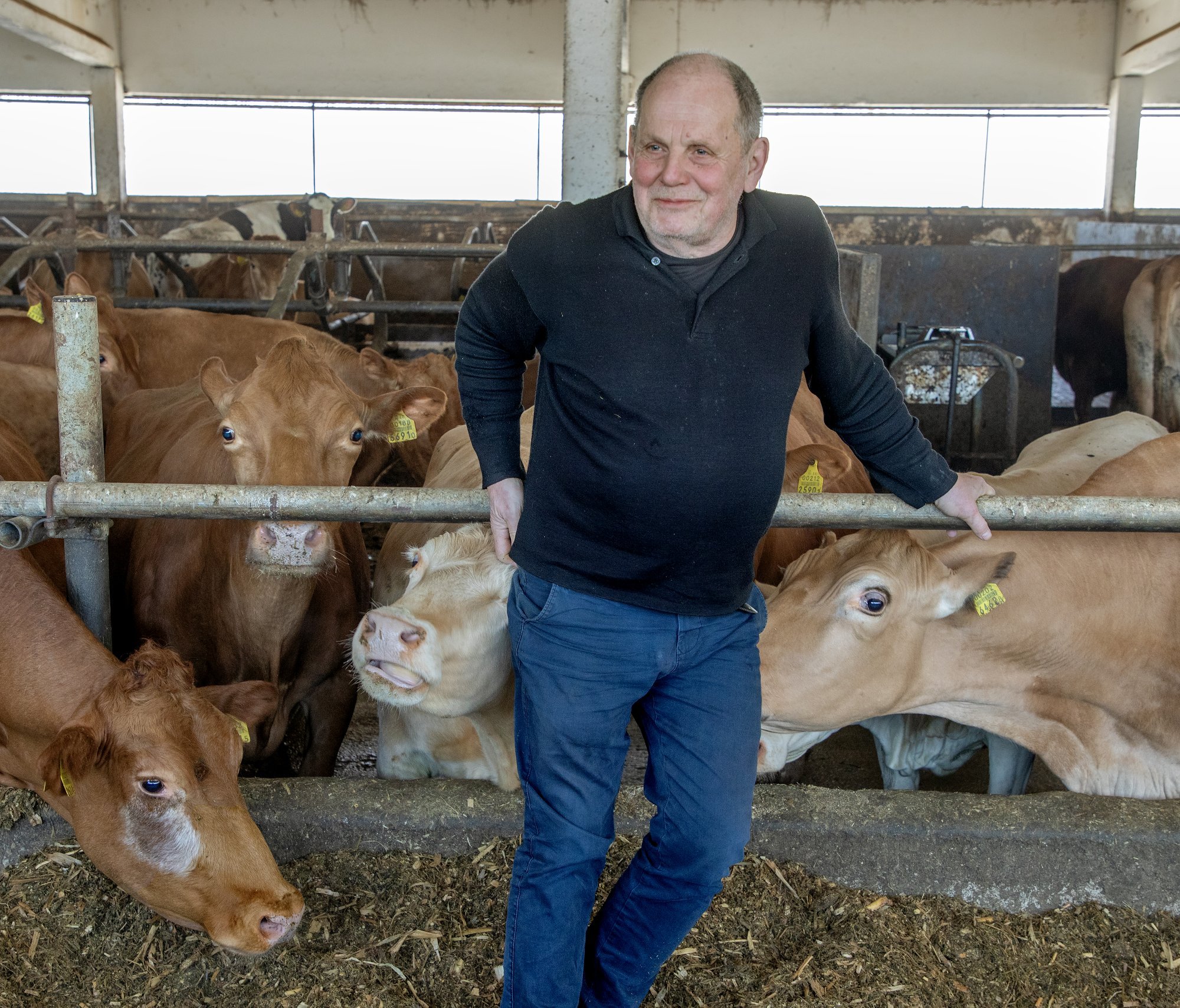 Peeter Ernits rääkis riigikogus vägistamisteemalisel arutelul loomalikust sugutungist, mida naised hindavad