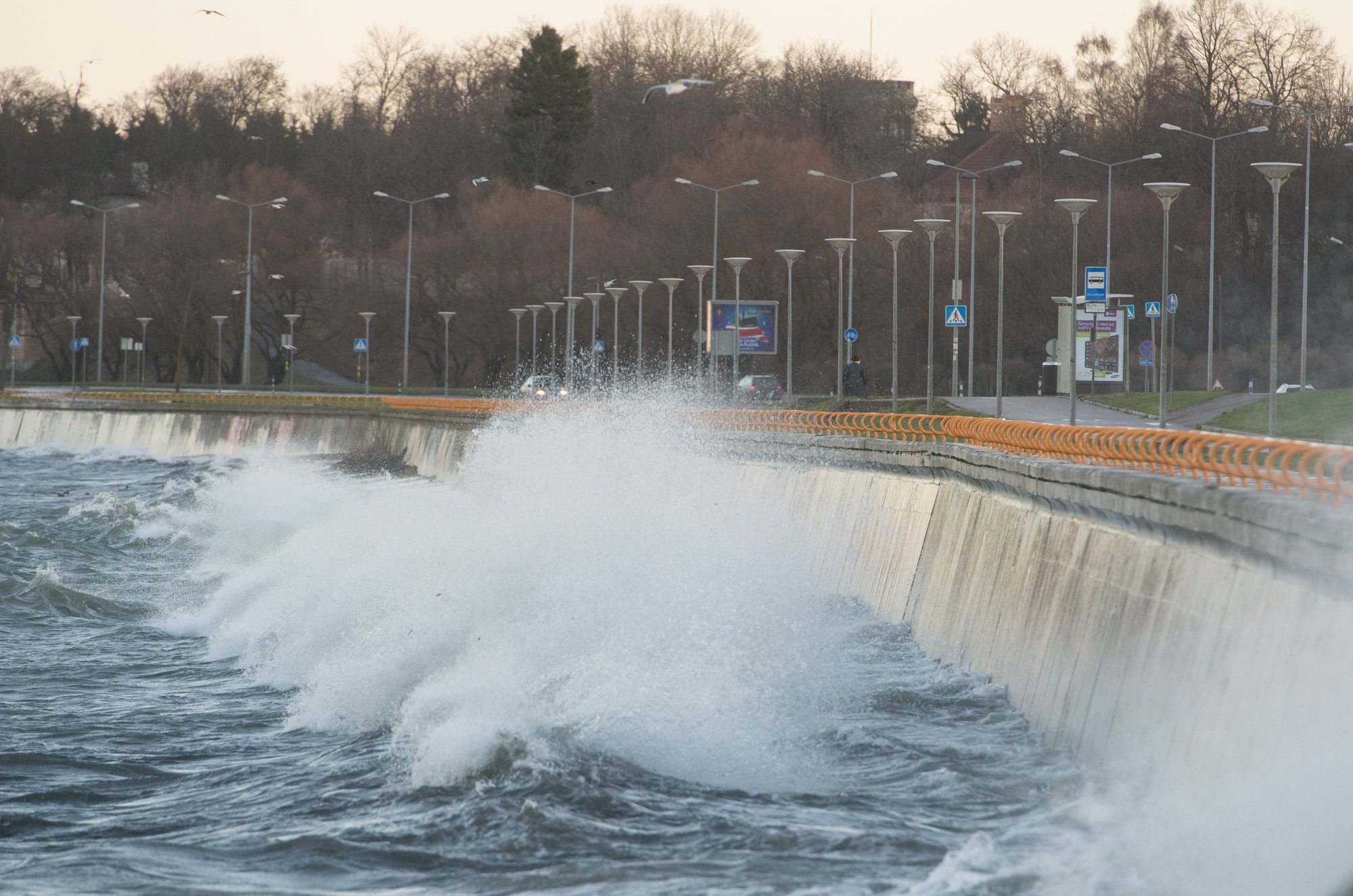 ILMATEADE | Mitmes paigas Eestis tõuseb tuul puhanguti kuni 17 m/s