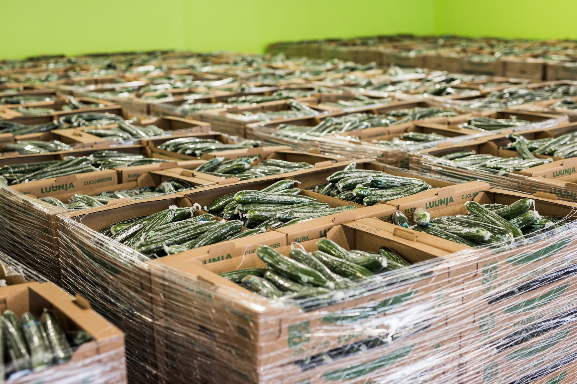 Klient maksis Bolt Foodi rakenduses ühe Luunja kurgi eest üle seitsme euro