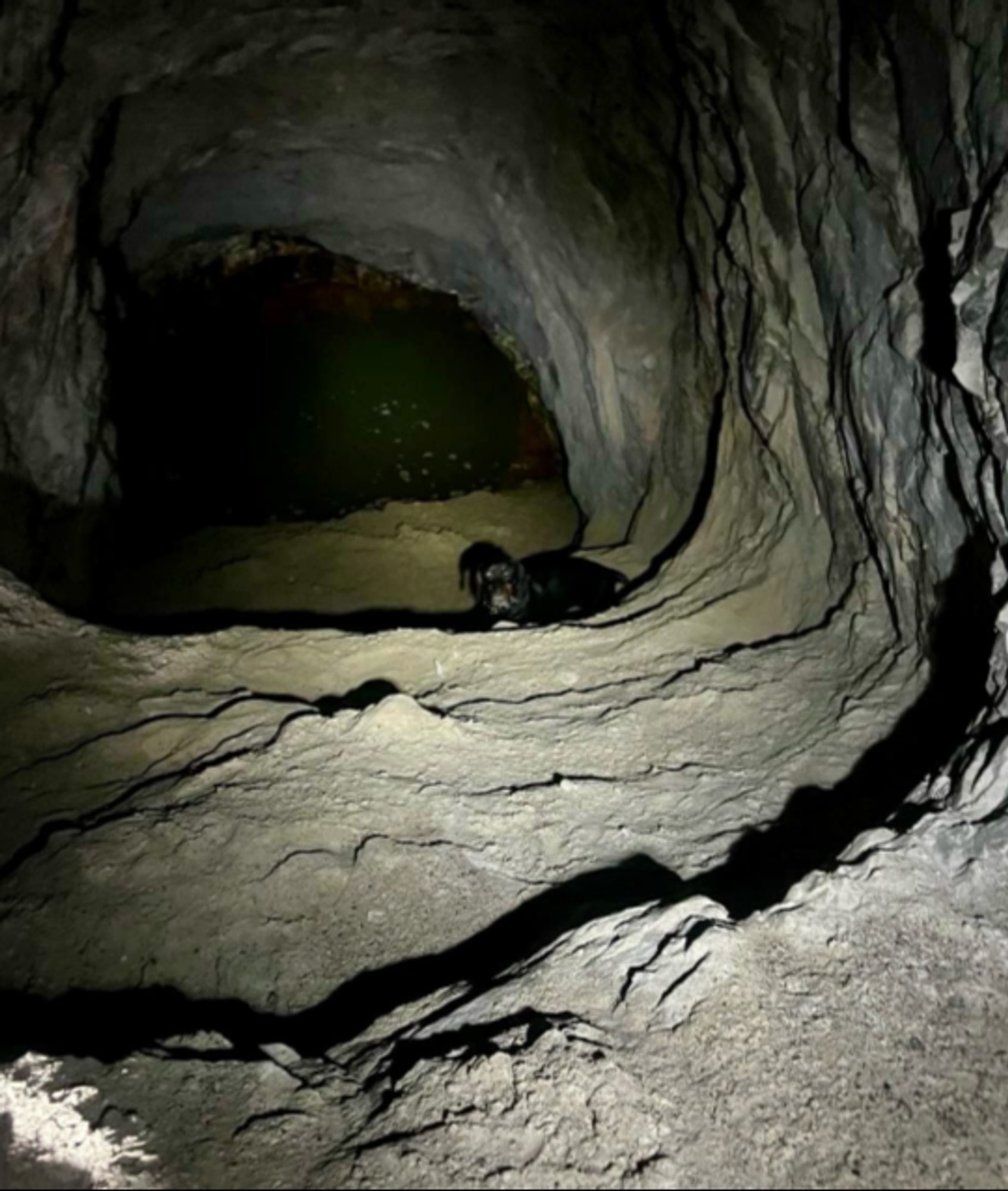 FOTOD | Muuga päästjad tõid sügavast koopast välja kaks päeva kadunud koera