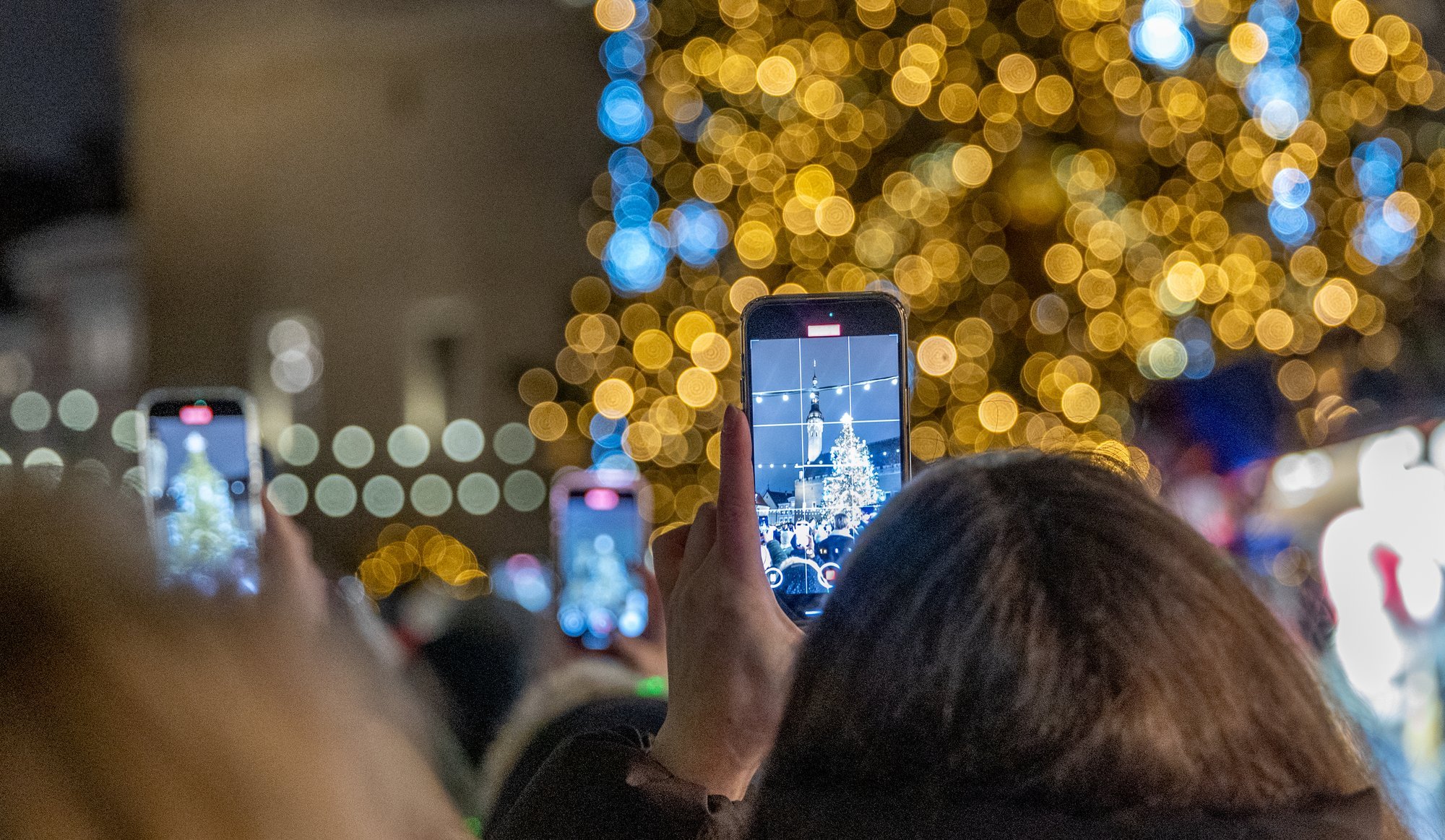 ÜLEVAADE | Eesti tänavused kauneimad jõulupuud. Milline sulle kõige rohkem meeldib?