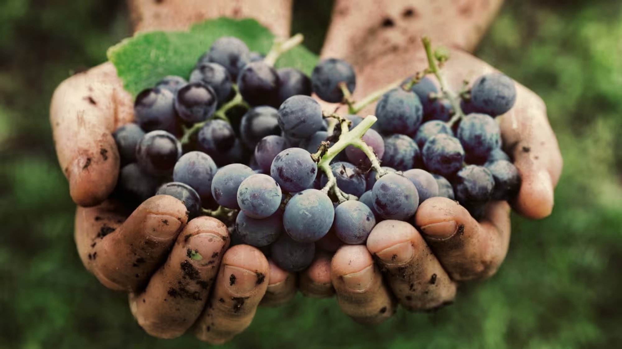 TOIDUPOE TAGATOAS | Jätkusuutlikkus peaks hõlmama kõike – tarneahelatest inimeste ja juhtimiseni
