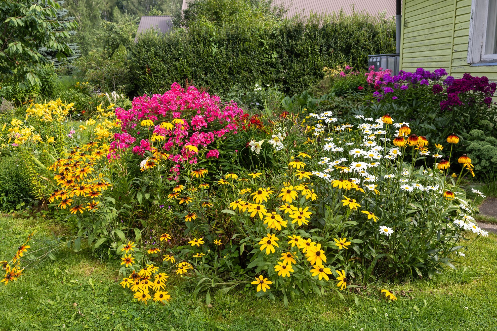 VIKTORIIN | Kui hästi tunned taimi? Pane oma teadmised proovile ja võid võita auhinna!