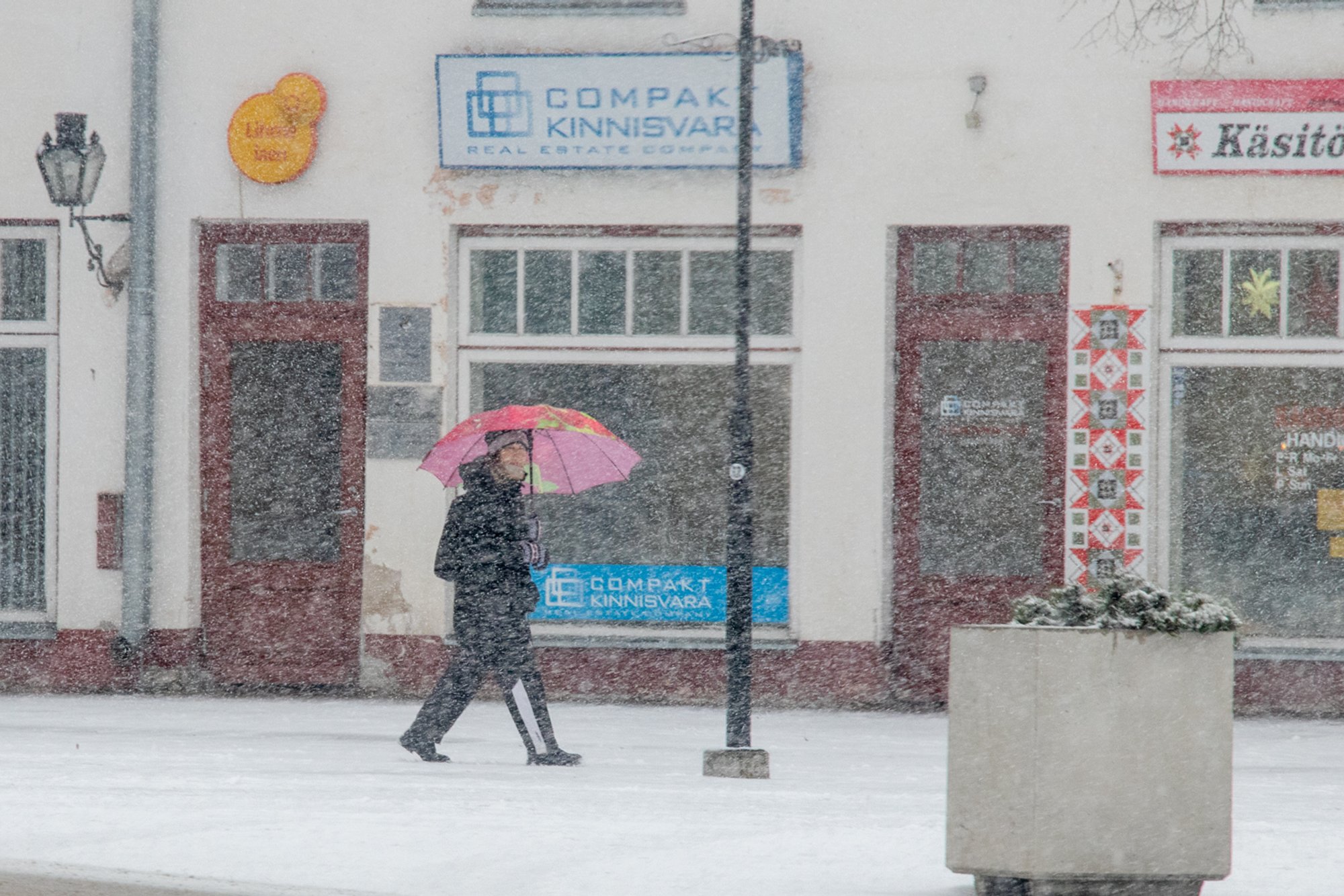 ILMAPROGNOOS | Pakasest ei pääse: ees ootab tuuline ja külm nädal
