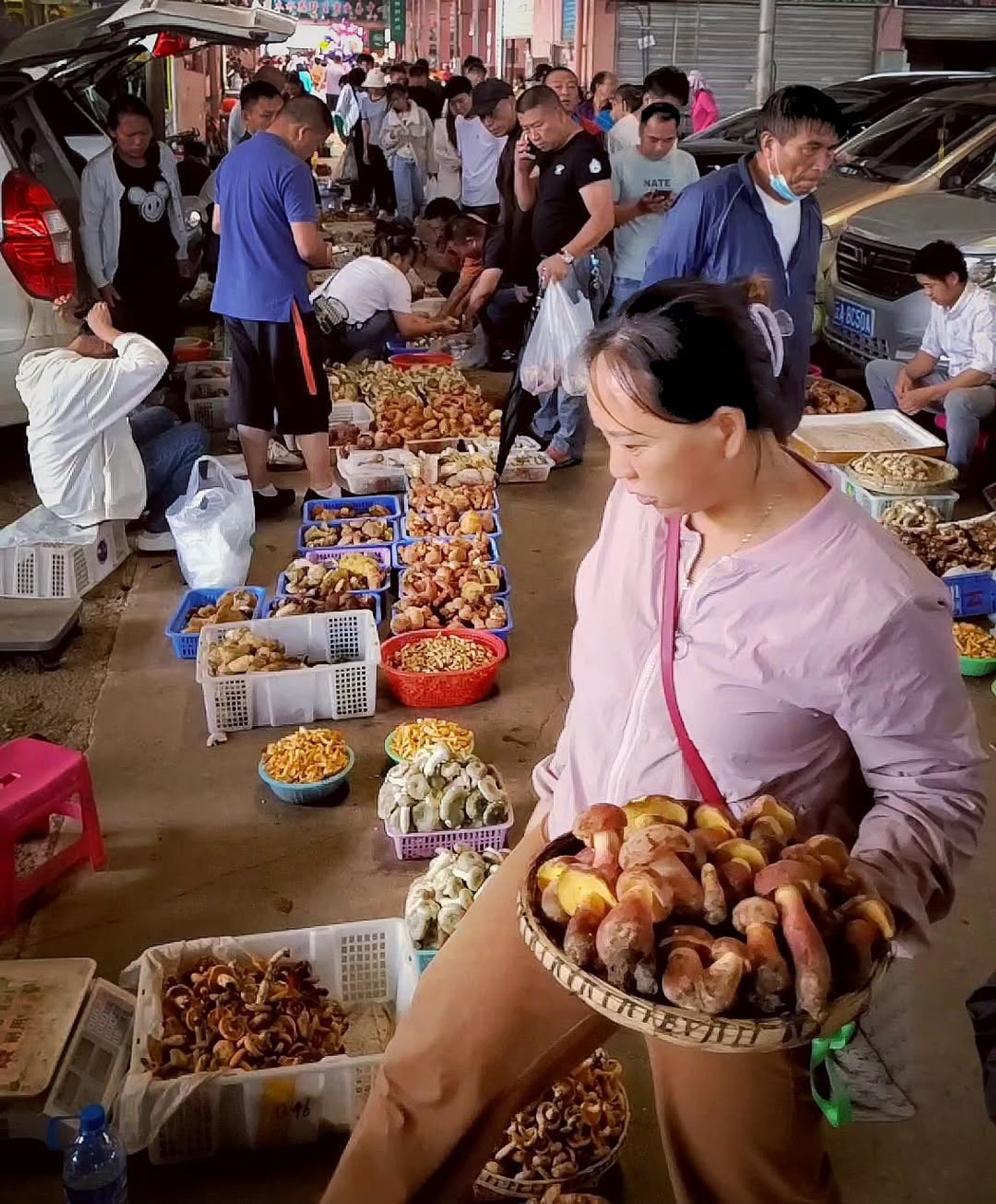 Sõid seeni ja nägid taldrikus liliputte. Sajad inimesed eri riikides kogevad samu hallutsinatsioone