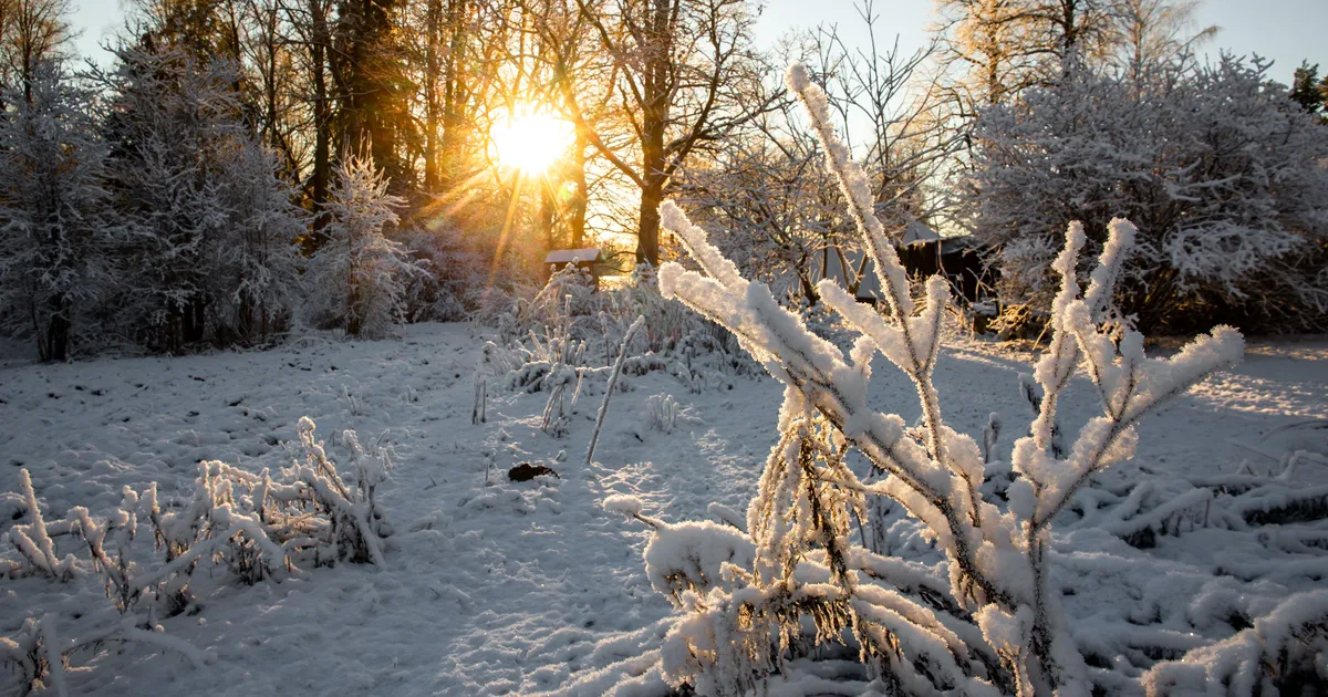 LOODUSKALENDER ⟩ Kas seekordses talves on midagi erakordset?