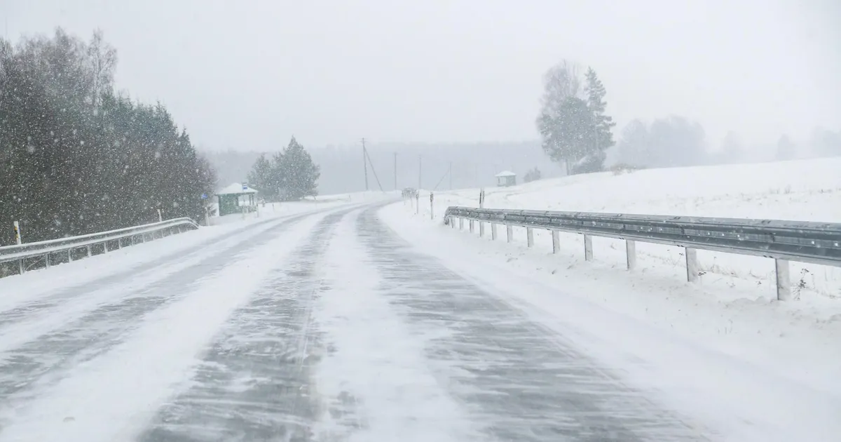Teed on kergelt lumised või soolaniisked