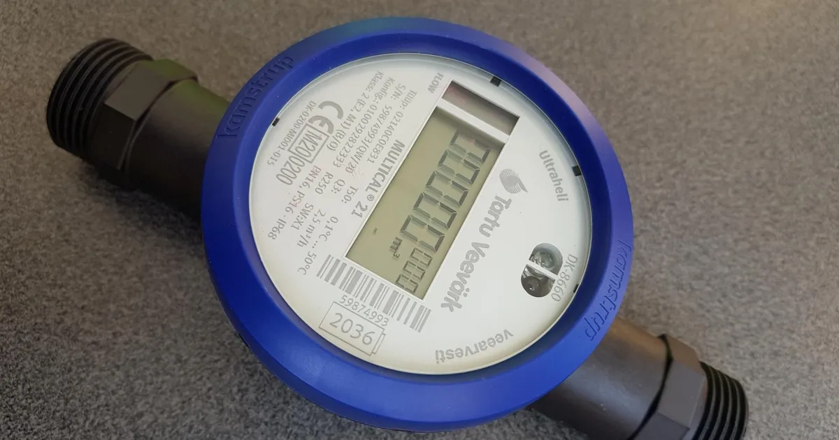 Petturid kimbutavad külmalinna elanikke