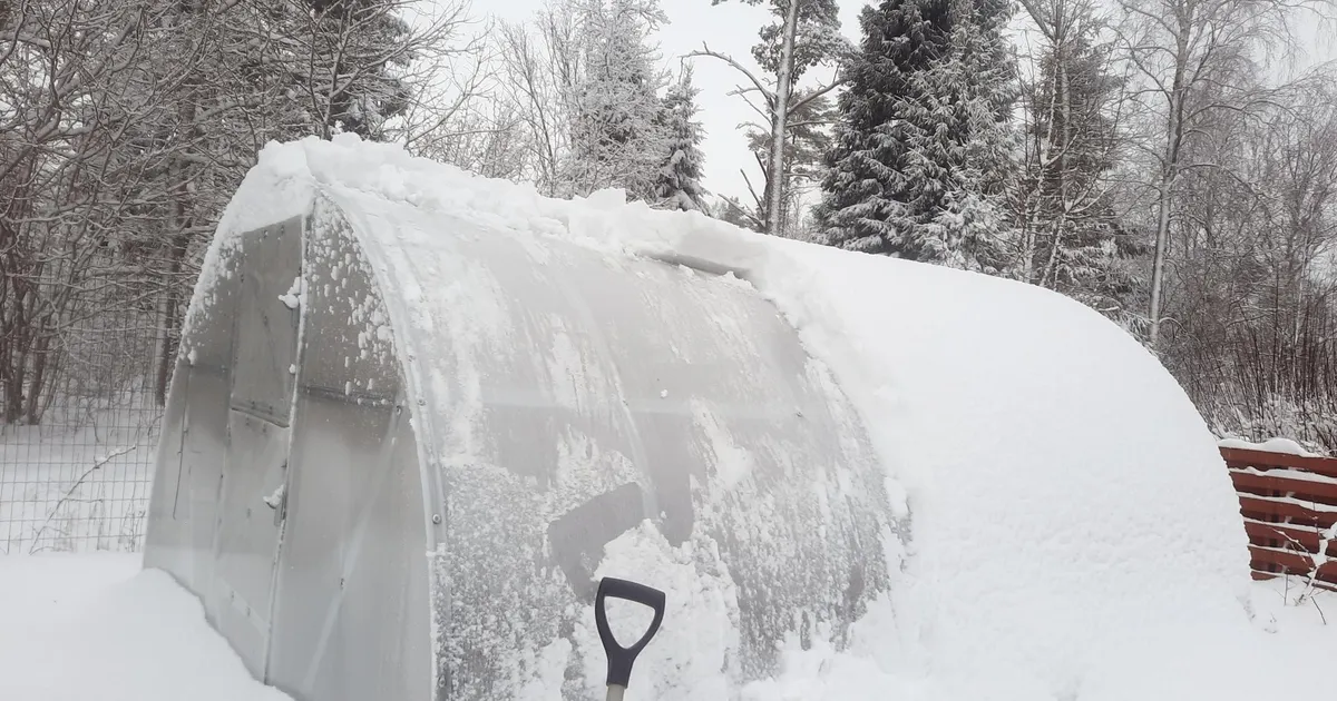 Paks lumi võib aias pahandust teha