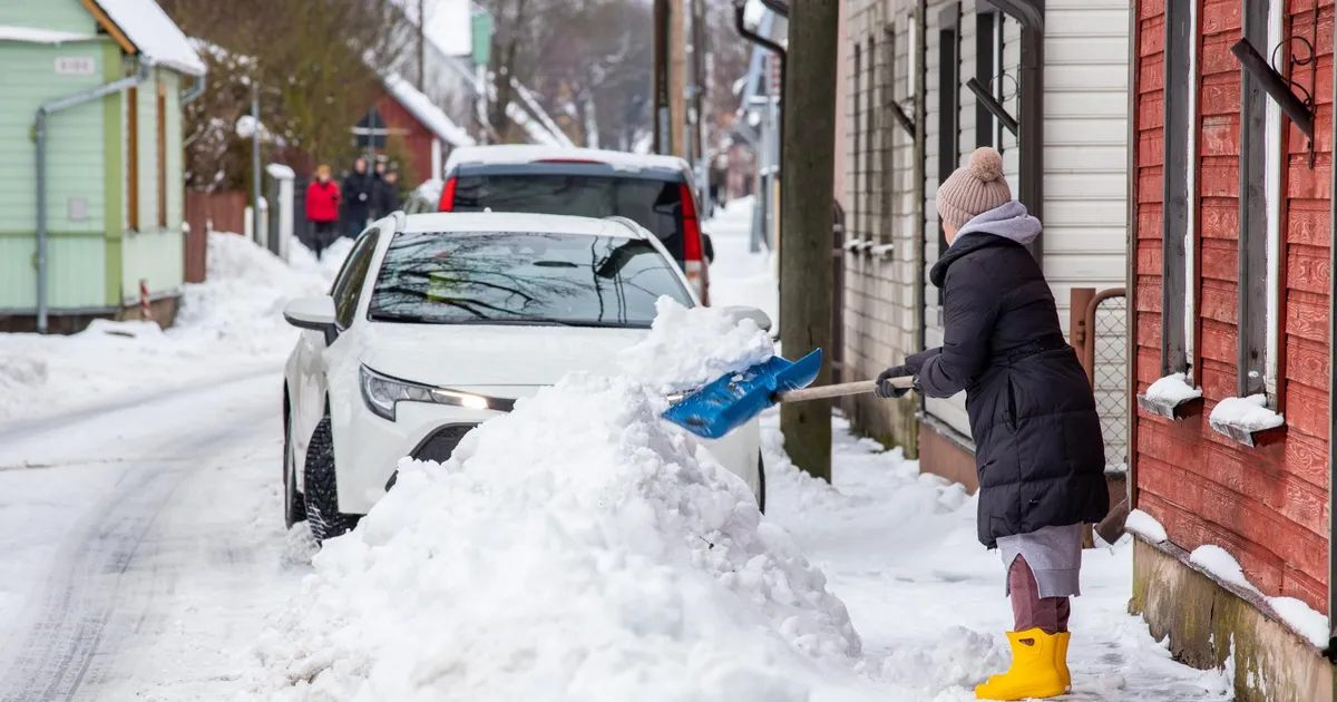 PEETER VÕSU ⟩ Nagu oleks keegi otsustanud hakata pahatahtlikult sõiduteedel autojuhte takistama...